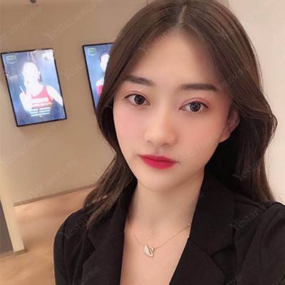 alpha allianz手游下载